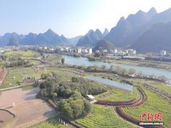 港商丁群芳扎根桂林 从都市白领变“新农人”